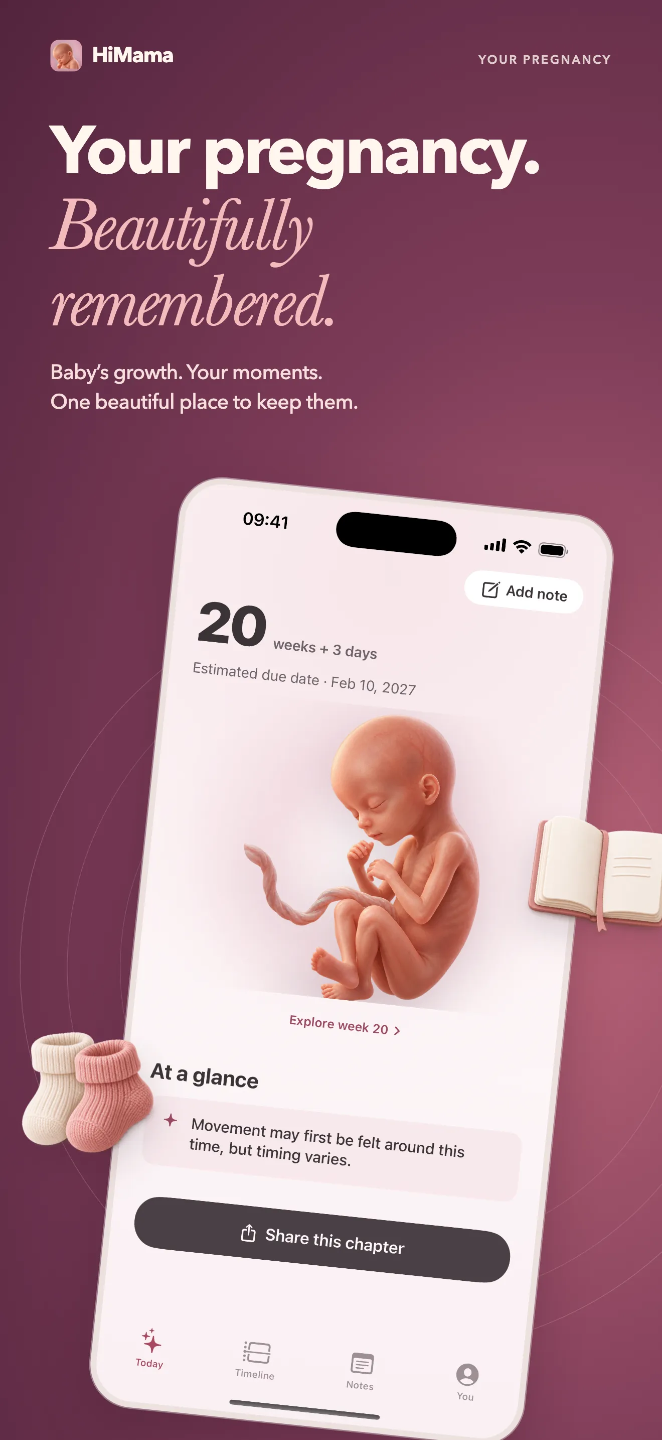 Your pregnancy, week by week