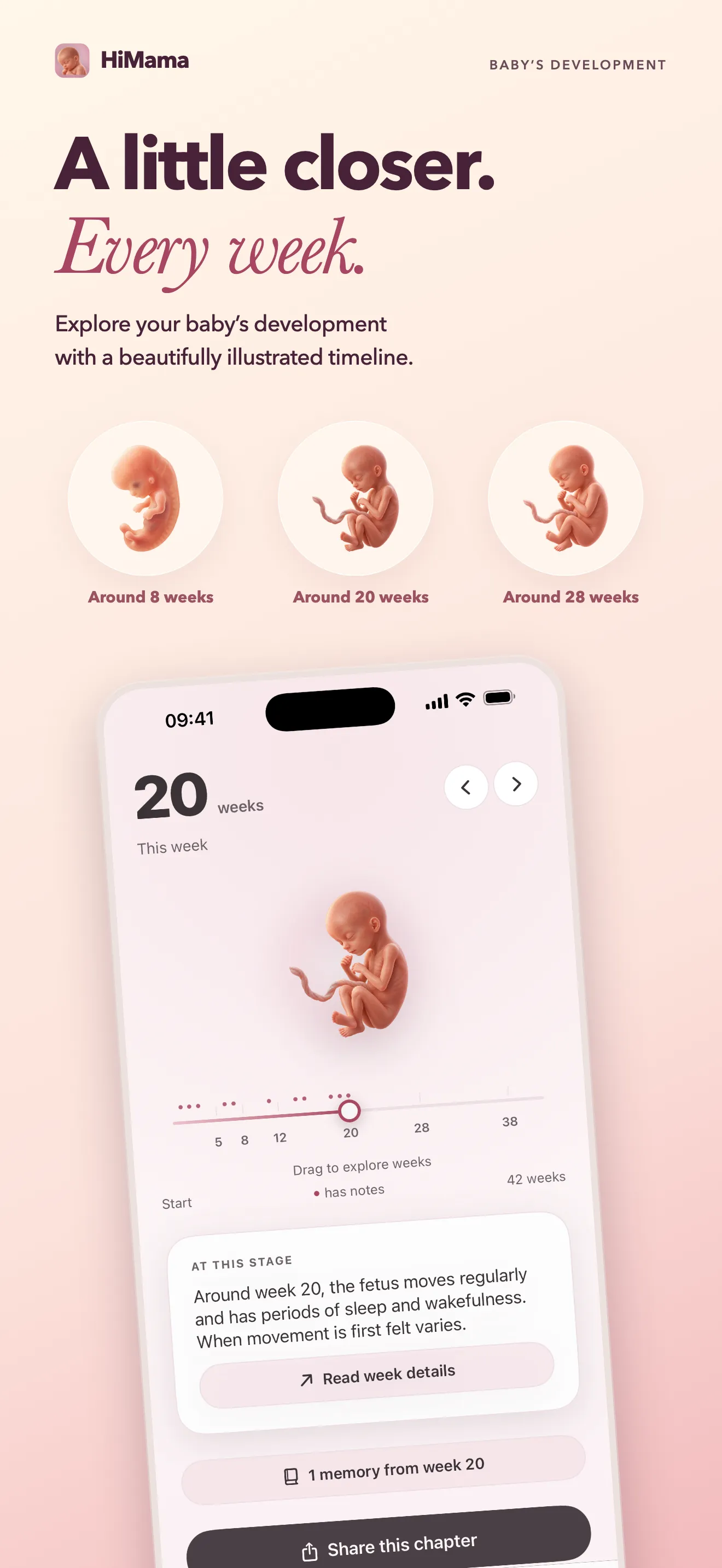 Baby development stages