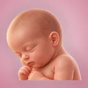HiMama app icon